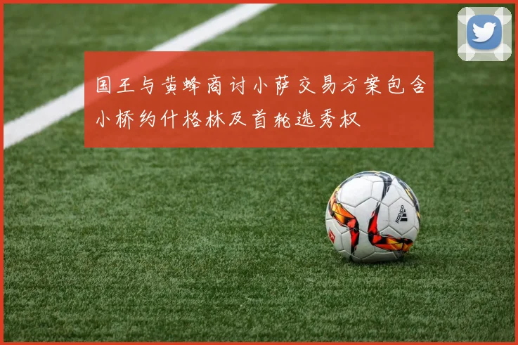 国王与黄蜂商讨小萨交易方案包含小桥约什格林及首轮选秀权